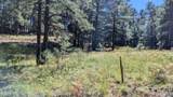 1878 Sheep Springs Road - Photo 16