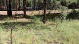 1878 Sheep Springs Road - Photo 17