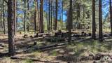 1878 Sheep Springs Road - Photo 2