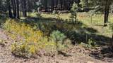 1878 Sheep Springs Road - Photo 20
