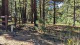 1878 Sheep Springs Road - Photo 6