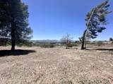 1820 Cimarron Drive - Photo 31