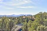 818 Blue Spruce Circle - Photo 29