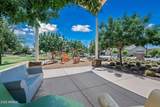 14386 Aster Drive - Photo 37