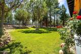 1459 Low Mountain Trail - Photo 66