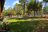 1459 Low Mountain Trail - Photo 67
