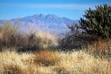 12839 Ironwood Drive - Photo 43