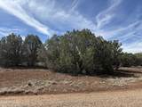 8389 Bear Meadow Drive - Photo 1