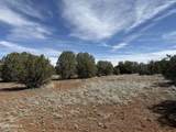 8389 Bear Meadow Drive - Photo 11
