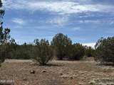 8389 Bear Meadow Drive - Photo 6