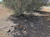 8389 Bear Meadow Drive - Photo 8