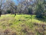 4261 Lazy River Road - Photo 5