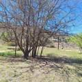 1A and 3 Arizona Street - Photo 10