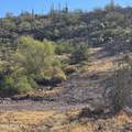 0 Elephant Butte - Photo 3
