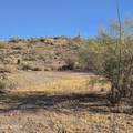 0 Elephant Butte - Photo 4