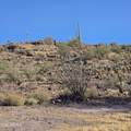 0 Elephant Butte - Photo 5