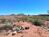 13588 Desert Dawn Drive - Photo 51