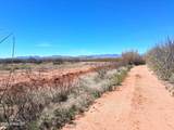 13588 Desert Dawn Drive - Photo 59
