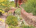 5031 81ST Street - Photo 45