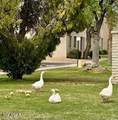 5031 81ST Street - Photo 46