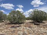 11Cxx Route 66 - Photo 18