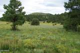 Lot 5 Red Cabin Ranch Unit II - Photo 1