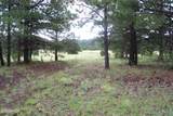 Lot 5 Red Cabin Ranch Unit II - Photo 11