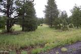 Lot 5 Red Cabin Ranch Unit II - Photo 12