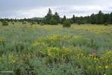 Lot 5 Red Cabin Ranch Unit II - Photo 2