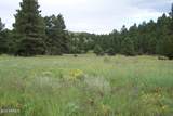 Lot 5 Red Cabin Ranch Unit II - Photo 3