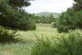 Lot 5 Red Cabin Ranch Unit II - Photo 4