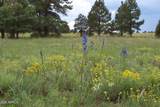 Lot 5 Red Cabin Ranch Unit II - Photo 5