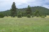 Lot 5 Red Cabin Ranch Unit II - Photo 6