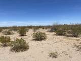 5acres Parrot Lane - Photo 12