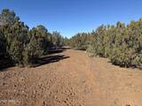 #5 Skyline Ranch - Photo 10