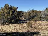 #5 Skyline Ranch - Photo 12