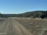 #5 Skyline Ranch - Photo 13