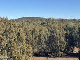 #5 Skyline Ranch - Photo 8