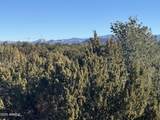 #5 Skyline Ranch - Photo 9