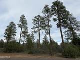 5961 Starlight Ridge Road - Photo 13