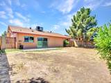3824 Lupine Avenue - Photo 39