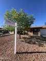 3824 Lupine Avenue - Photo 42