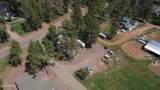 4991 Old Spruce Drive - Photo 6