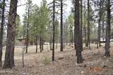 2194 Deer Ridge Drive - Photo 37