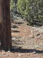 21 Acr 3193 Road - Photo 5