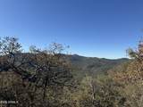 22560 Gladiator Mine Road - Photo 3