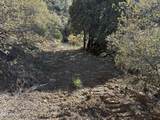 22560 Gladiator Mine Road - Photo 4