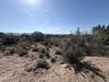 4850 Crazy Horse Circle - Photo 1