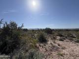 4850 Crazy Horse Circle - Photo 8