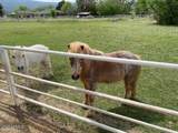 1150 Rio Verde Lane - Photo 47